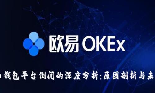 虚拟币钱包平台倒闭的深度分析：原因剖析与未来展望