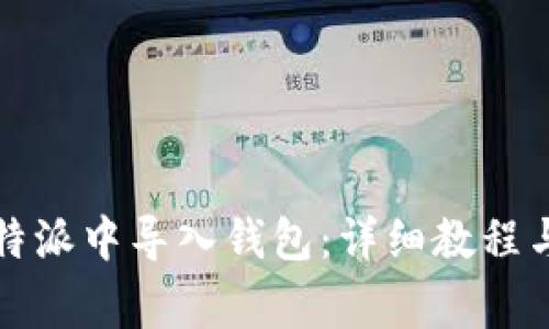 如何在比特派中导入钱包：详细教程与注意事项