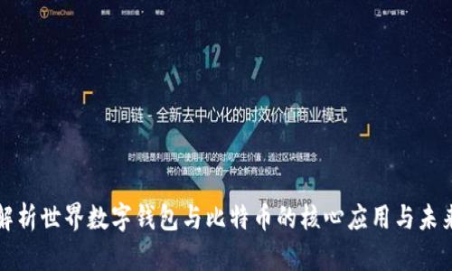 全面解析世界数字钱包与比特币的核心应用与未来发展