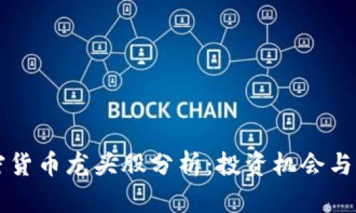 国内加密货币龙头股分析：投资机会与风险评估