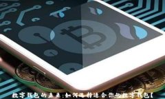 数字钱包的未来：如何选择适合你的数字钱包？