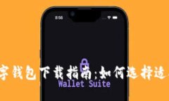 2023年最佳数字钱包下载指南：如何选择适合你的