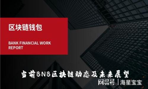 当前BNB区块链动态及未来展望