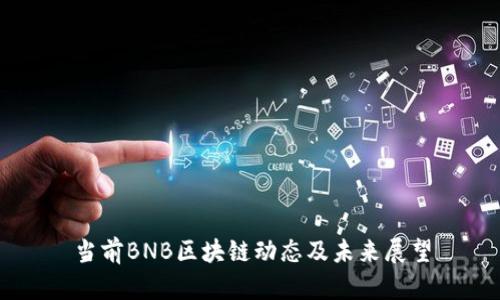 当前BNB区块链动态及未来展望